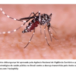 Chikungunya: primeiros passos da vacinação e importância da proteção