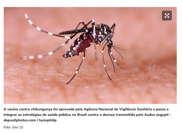 Chikungunya: primeiros passos da vacinação e importância da proteção