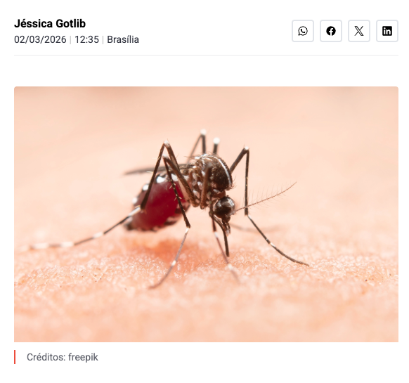 Em queda de 78%, dengue tem 97,7 mil casos prováveis no país em 2026