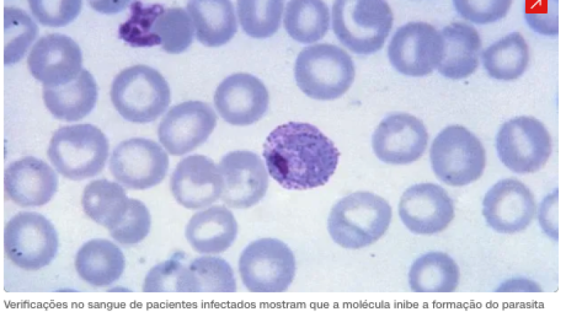 Captura de Tela 2026-02-11 às 11.13.35