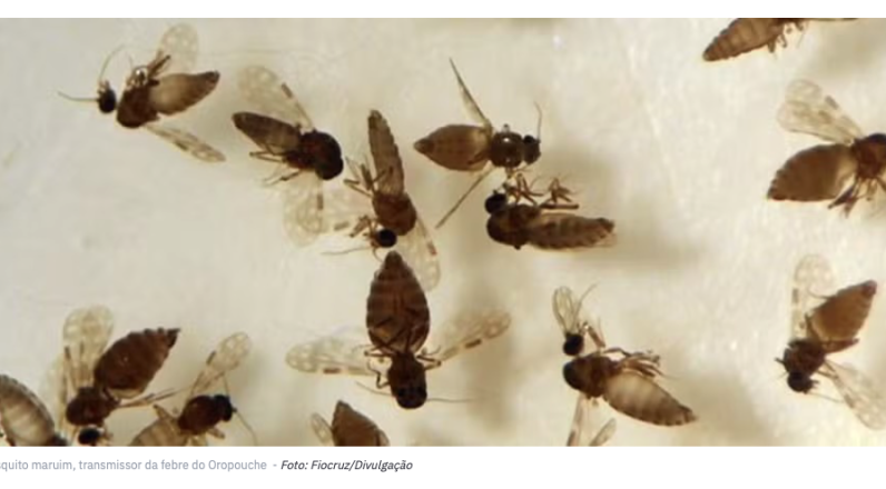 Captura de Tela 2026-02-11 às 14.03.19